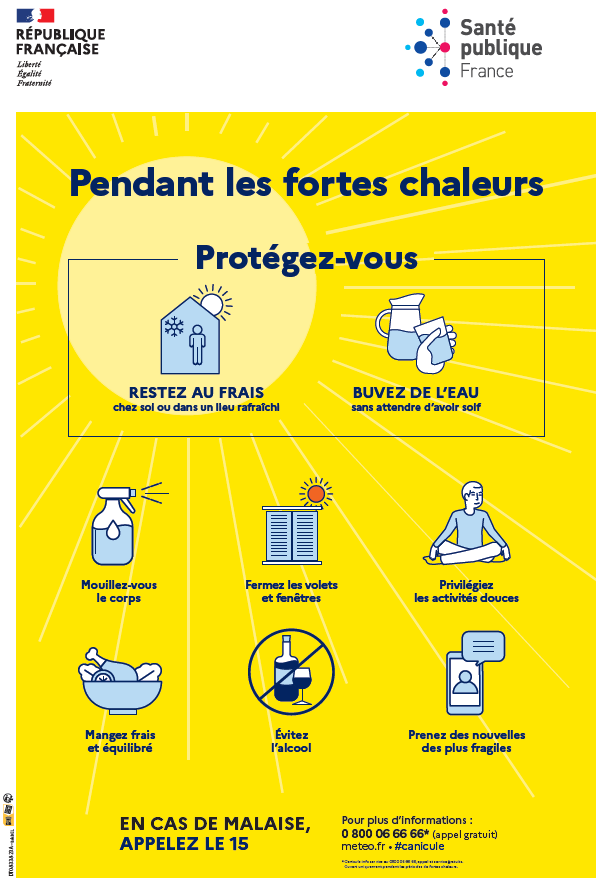 canicule.jpeg